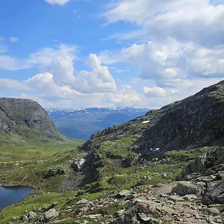 公寓 Roldalsfjellet *