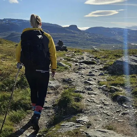 公寓 Roldalsfjellet