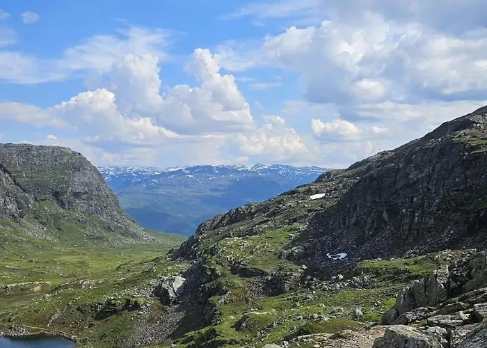 公寓 Roldalsfjellet *