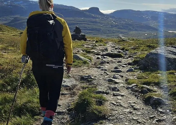 公寓 Roldalsfjellet