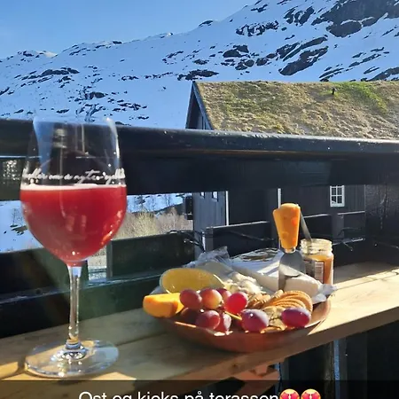 Roldalsfjellet Apartment *